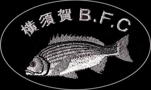 横須賀BFC掲示板