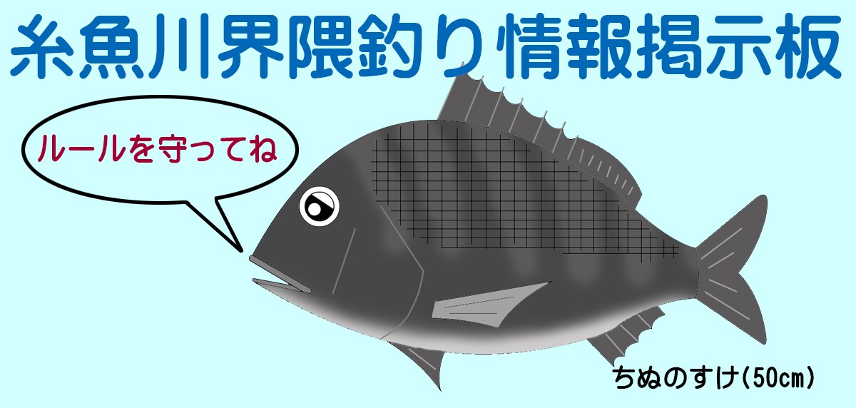 糸魚川界隈釣り情報掲示板